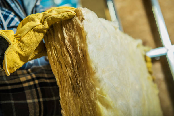 Best Blown-in Insulation in Centreville, AL