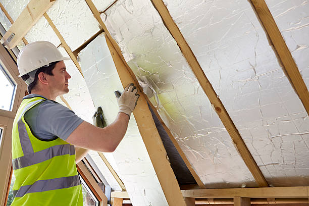 Best Eco-Friendly Insulation in Centreville, AL